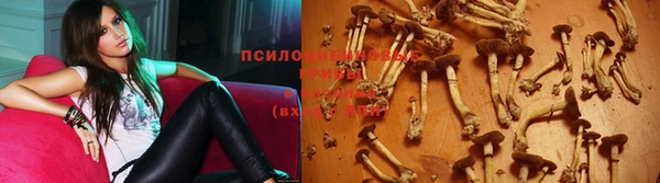 бутират Козловка