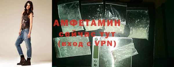 дживик Краснослободск