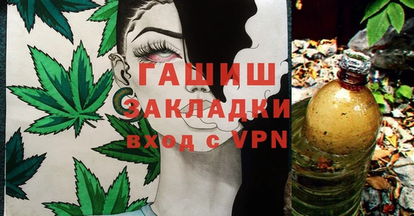 дживик Краснослободск