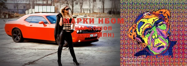 дживик Краснослободск