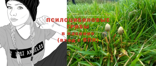 стафф Аша