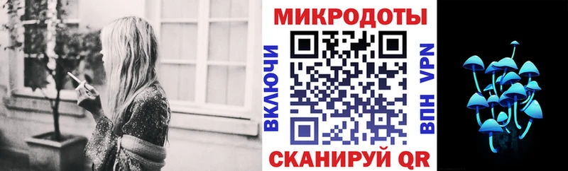 Галлюциногенные грибы Psilocybe Красноперекопск